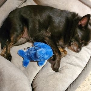 Meet your Posher, Margaret